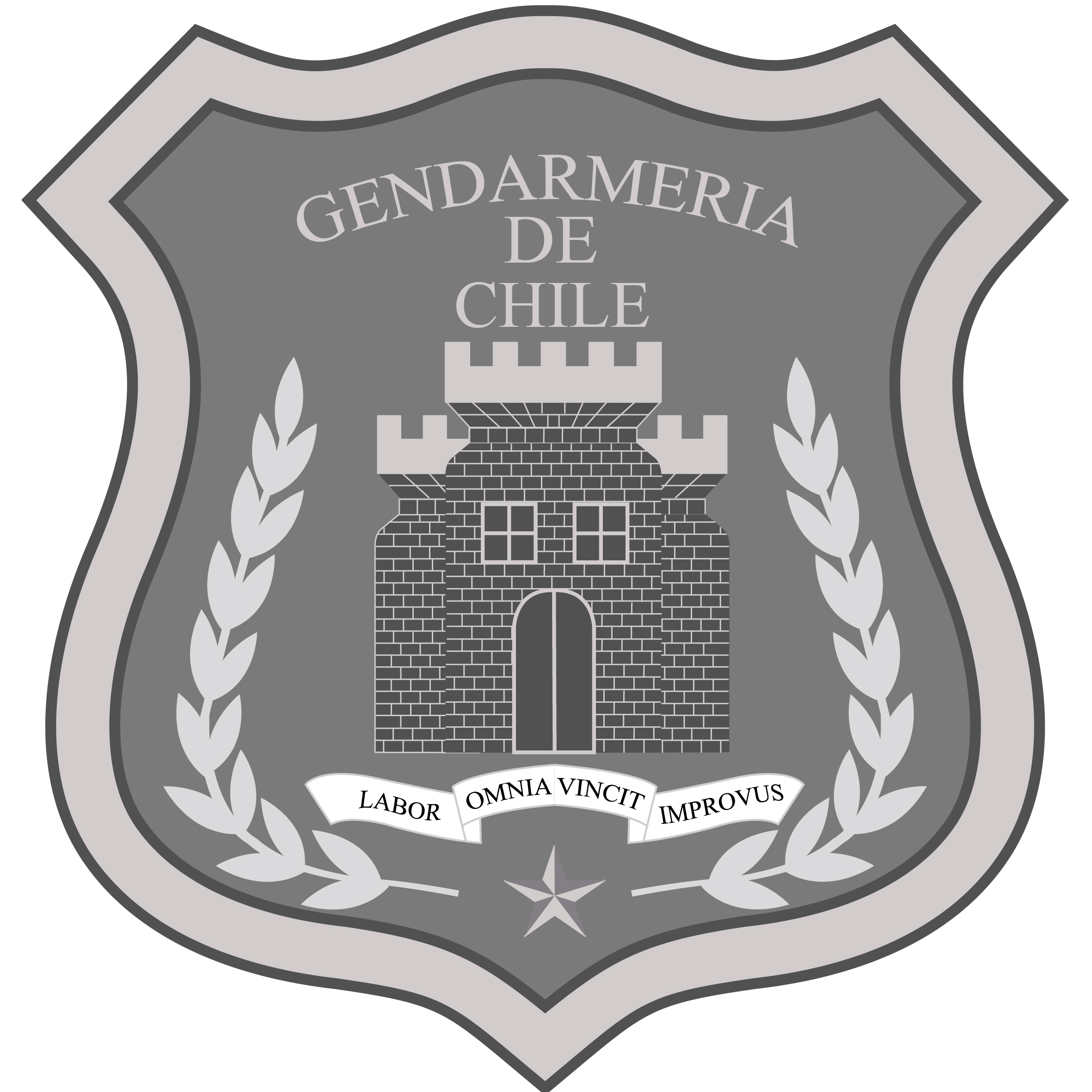 gendarmedia-de-chile.jpg